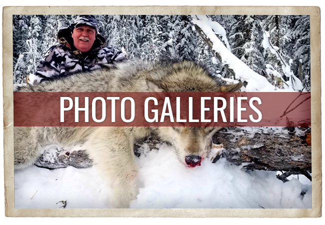 Timber King Outfitting Photo Galleries