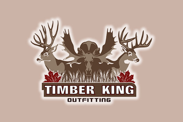 Website Logo