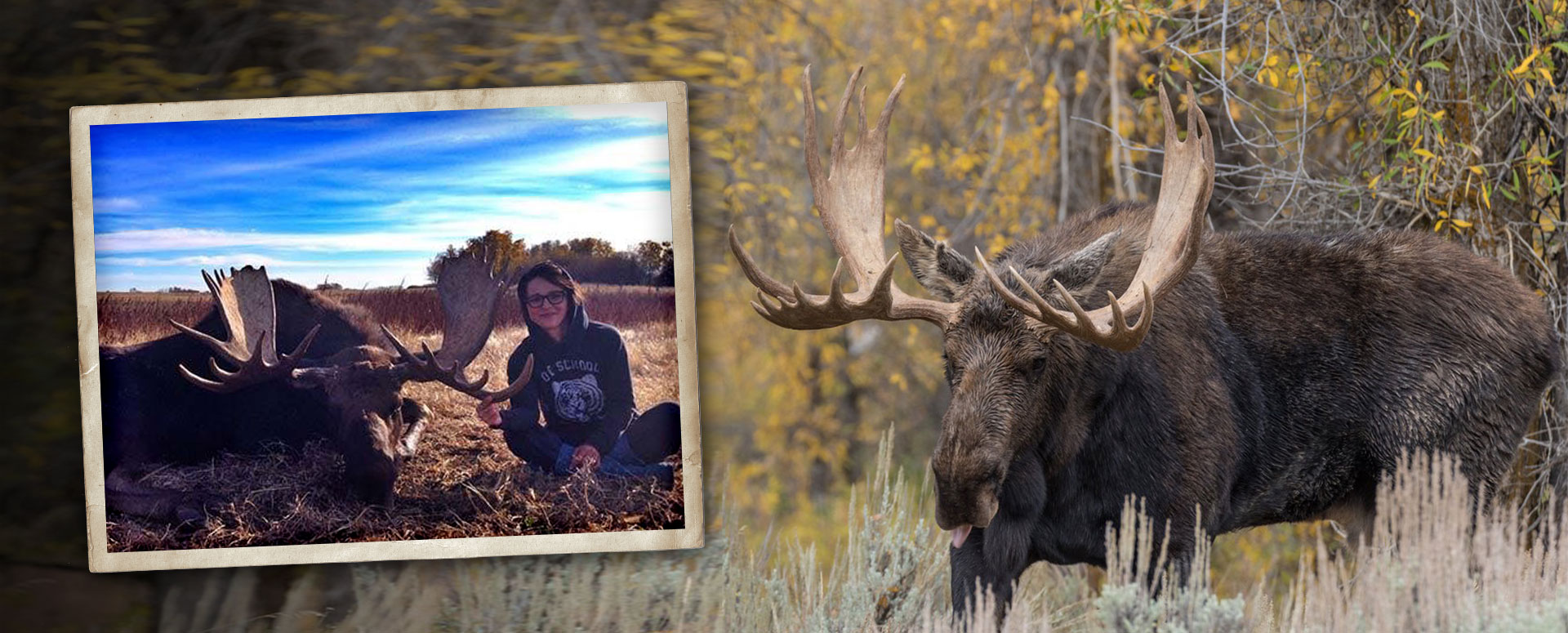 Moose Hunts in Canada