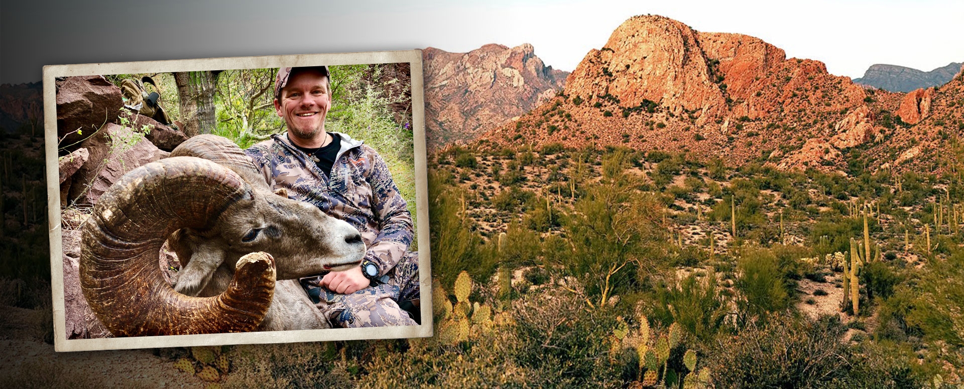 Sheep Hunts