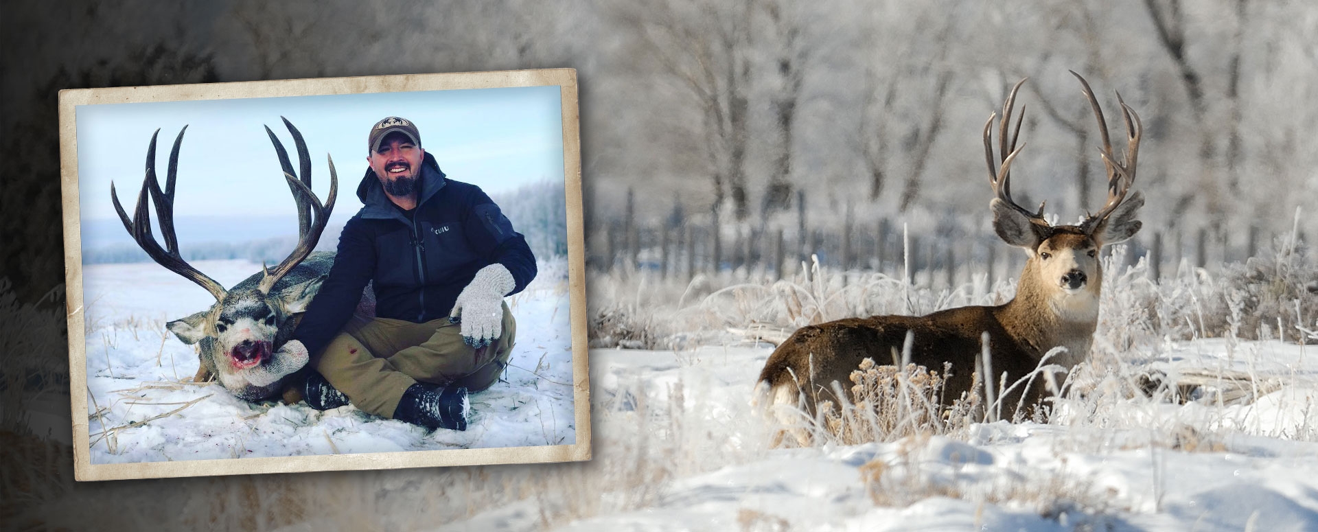 Mule Deer hunting