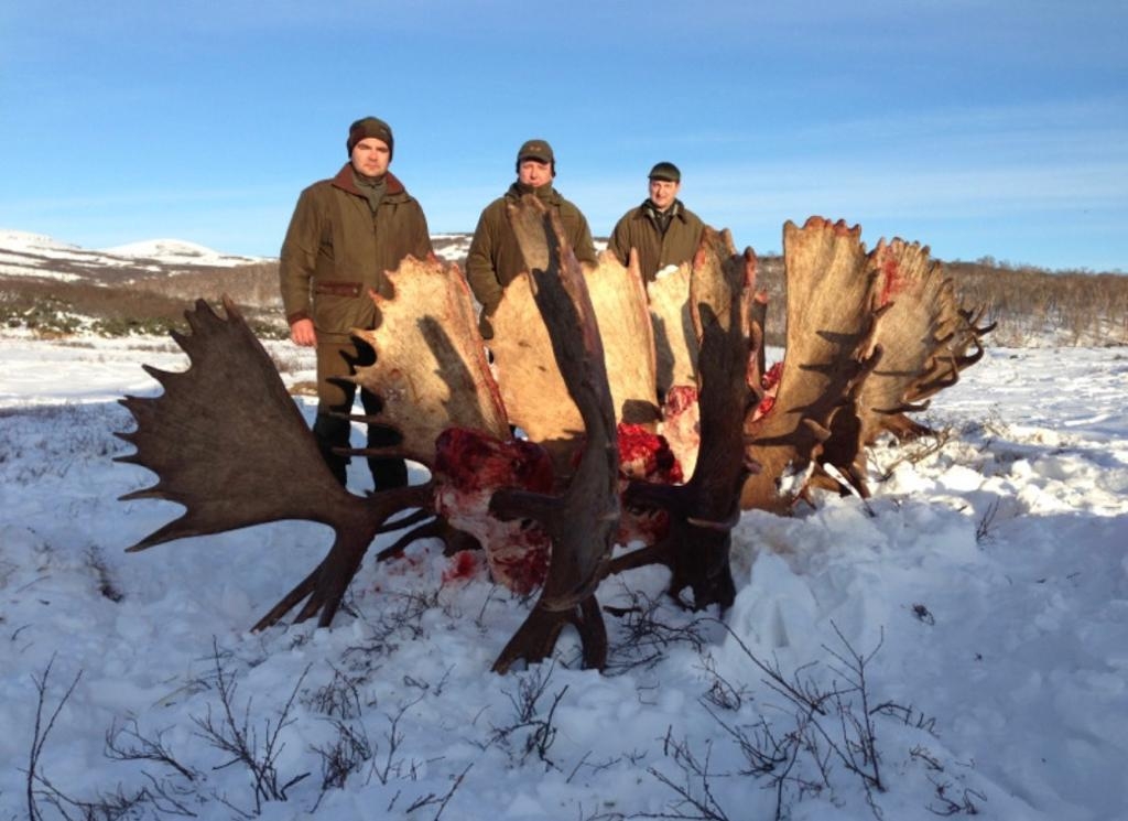 Kamchatka Moose hunts