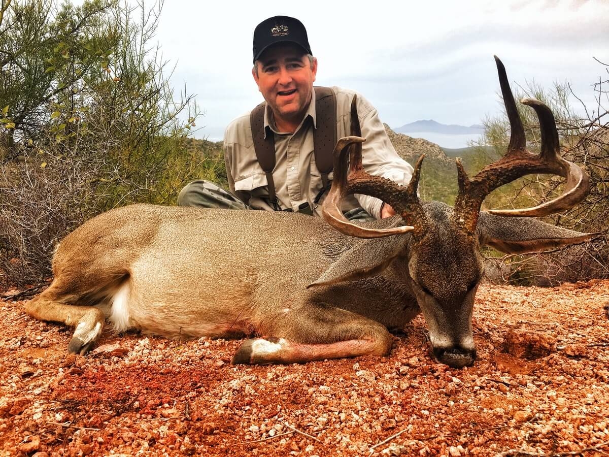 coues deer hunts