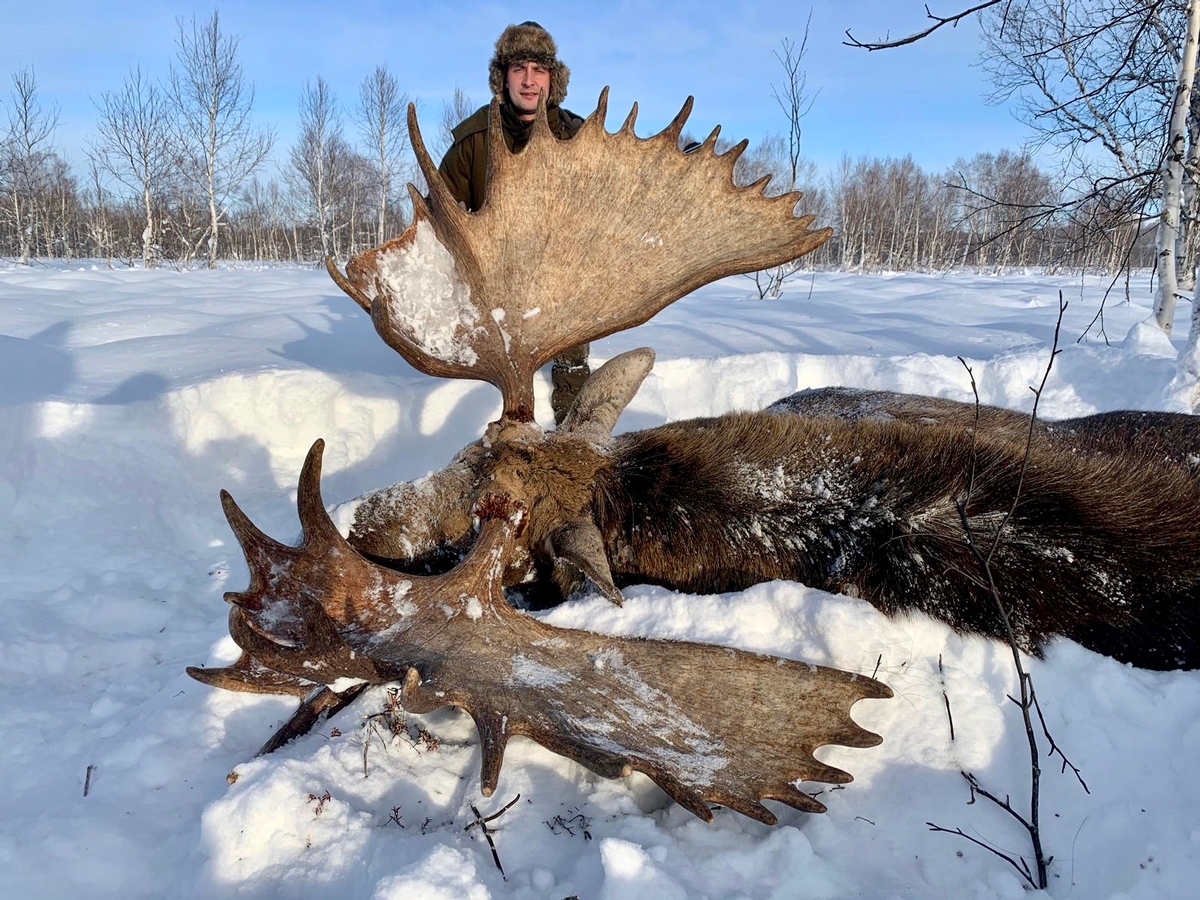 Hunting Moose in Kamchatka, Russia Outfitted Moose Hunts