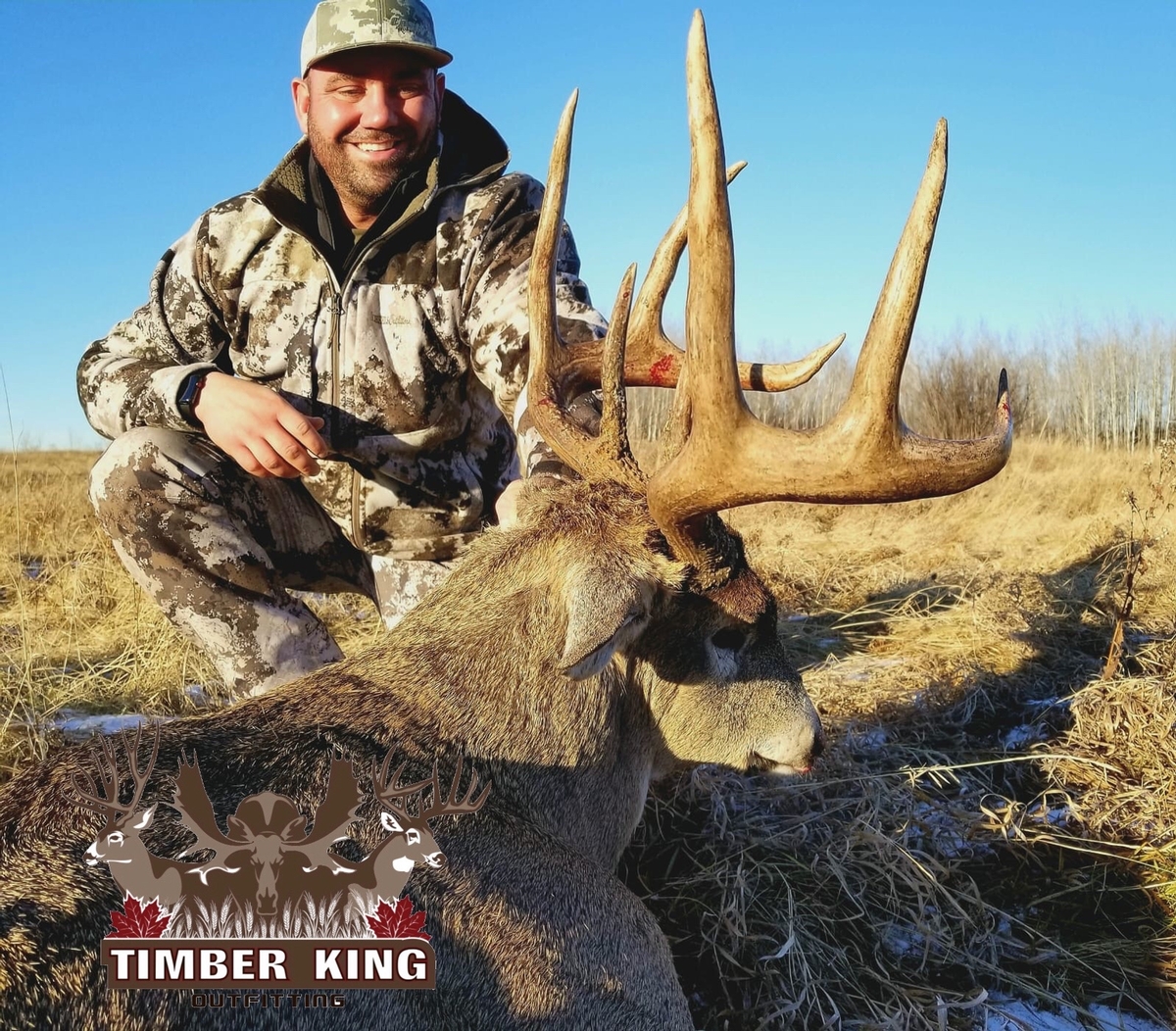Alberta Whitetail Deer Hunts Timber King Outfitting Alberta Whitetail Deer Hunts Timber King Outfitting