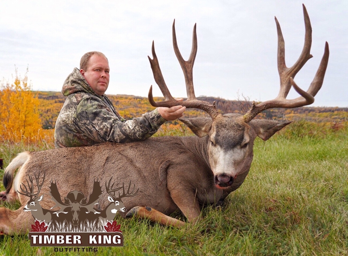 Mule Deer Hunts - Timber King Outfitting