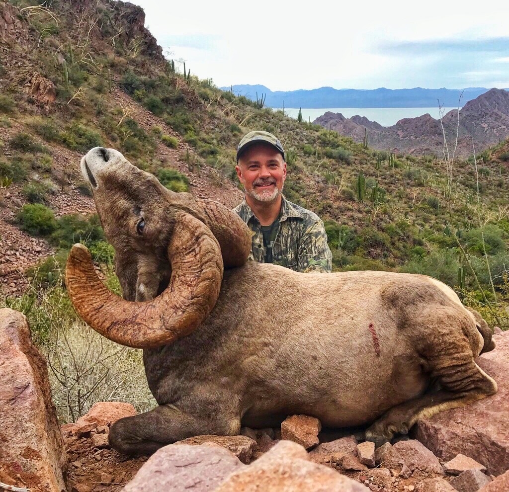 Sheep Grand Slam | Desert Sheep Grand Slam