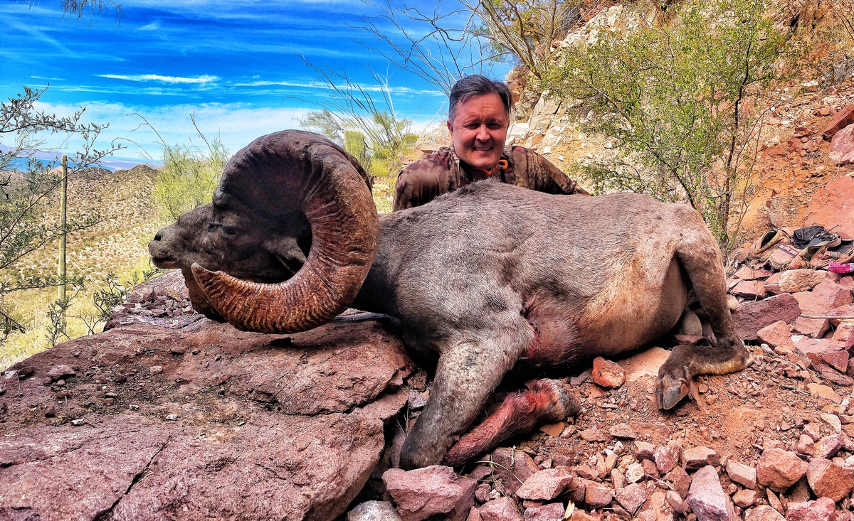 Sheep Grand Slam | Desert Sheep Grand Slam