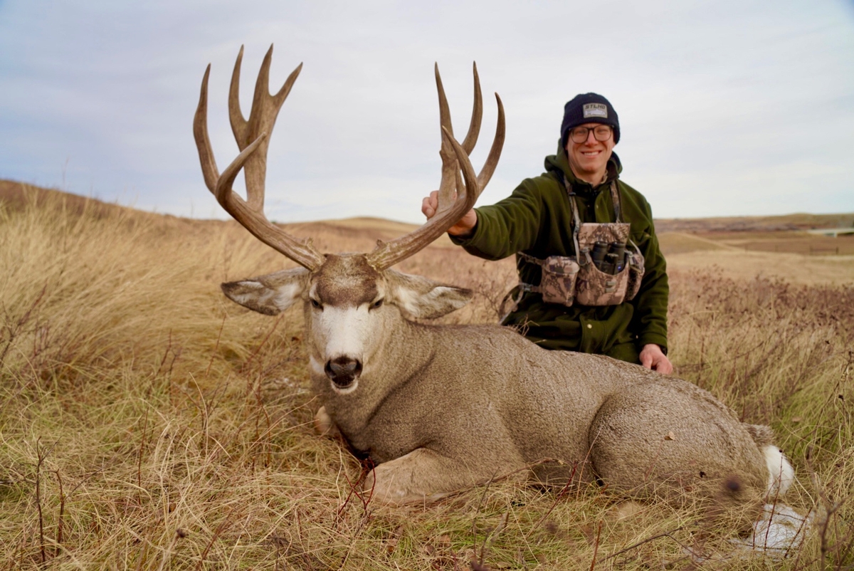 Hunt deer mule alberta hunts