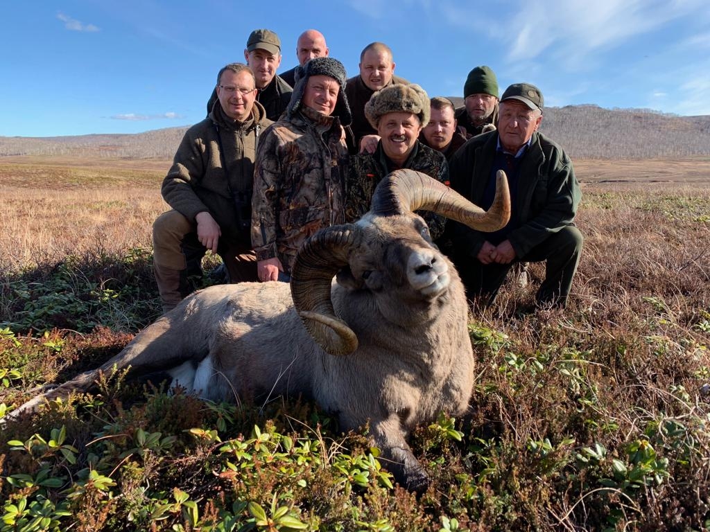 Sheep hunts