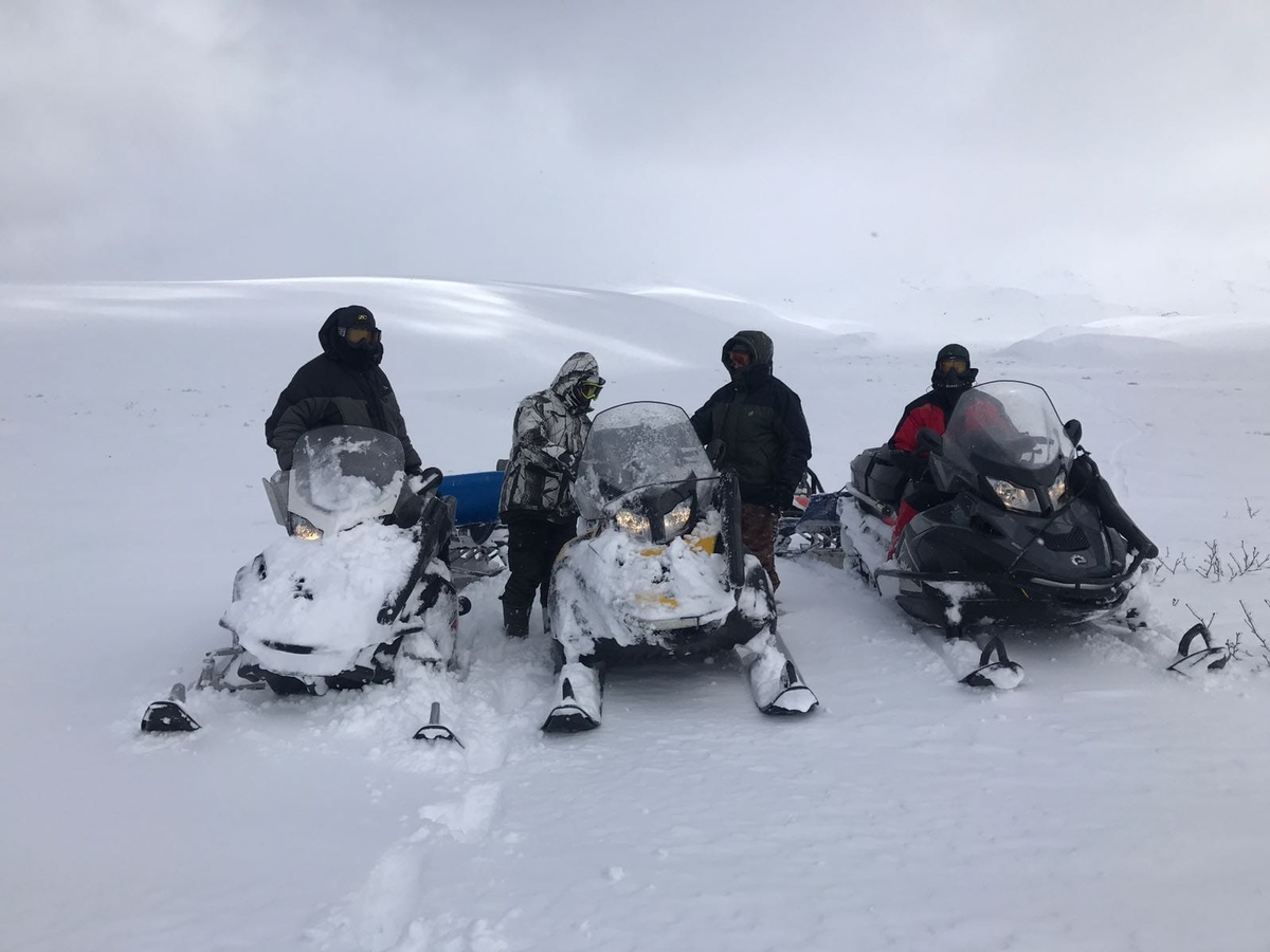 snowmobiles