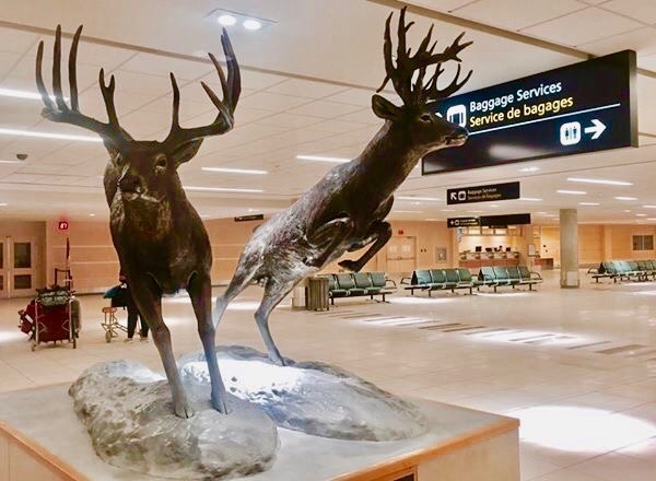 Edmonton International Airport