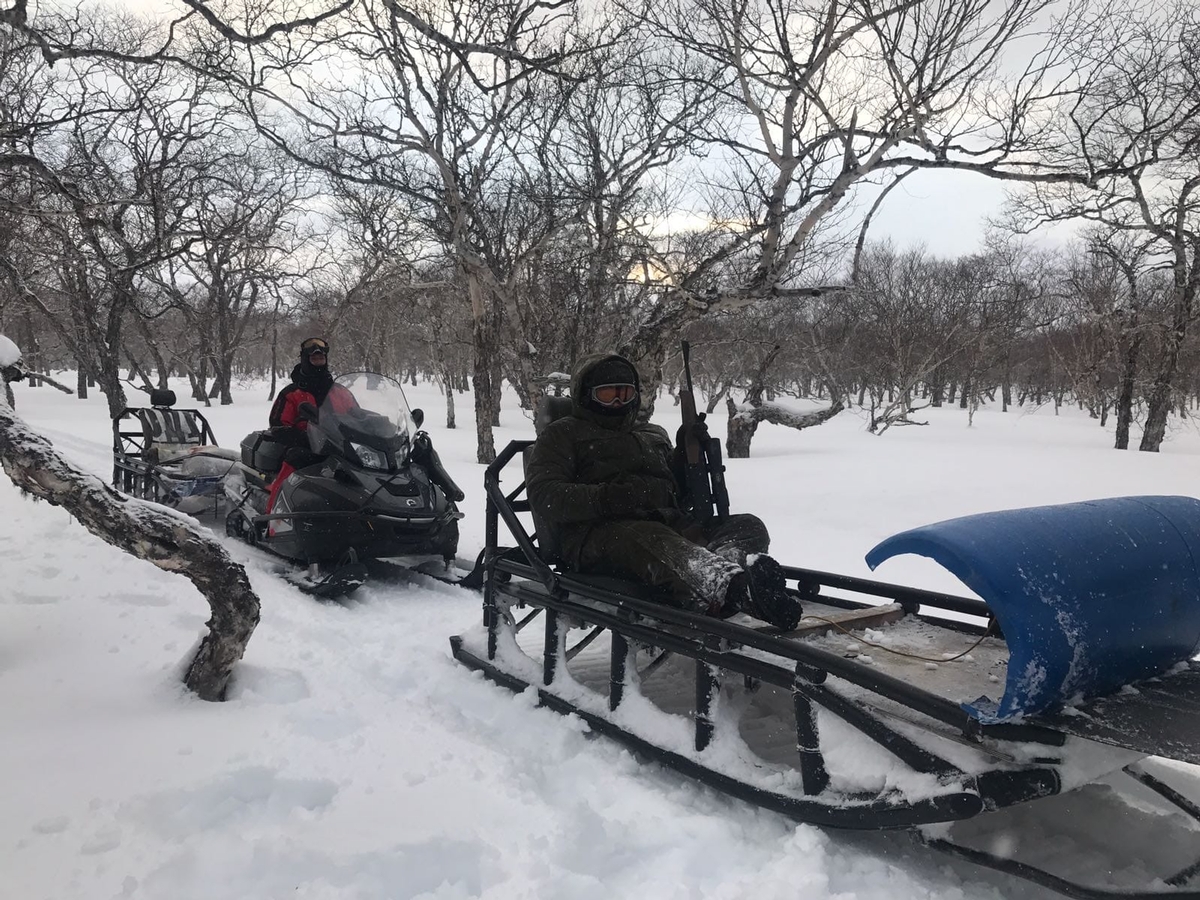 Bear Hunting
