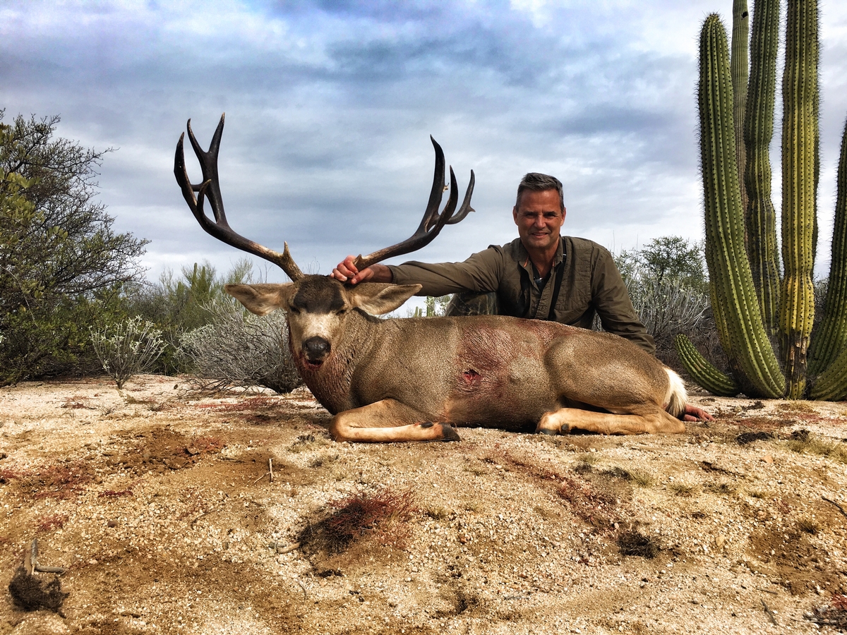 Mexico Desert Mule Deer Hunts - Timber King Outfitting