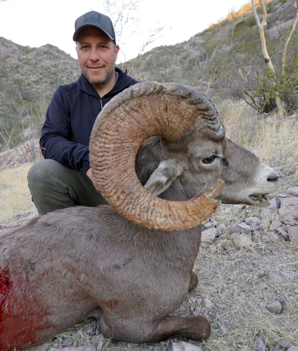 Guided Backpack Desert Bighorn Hunt