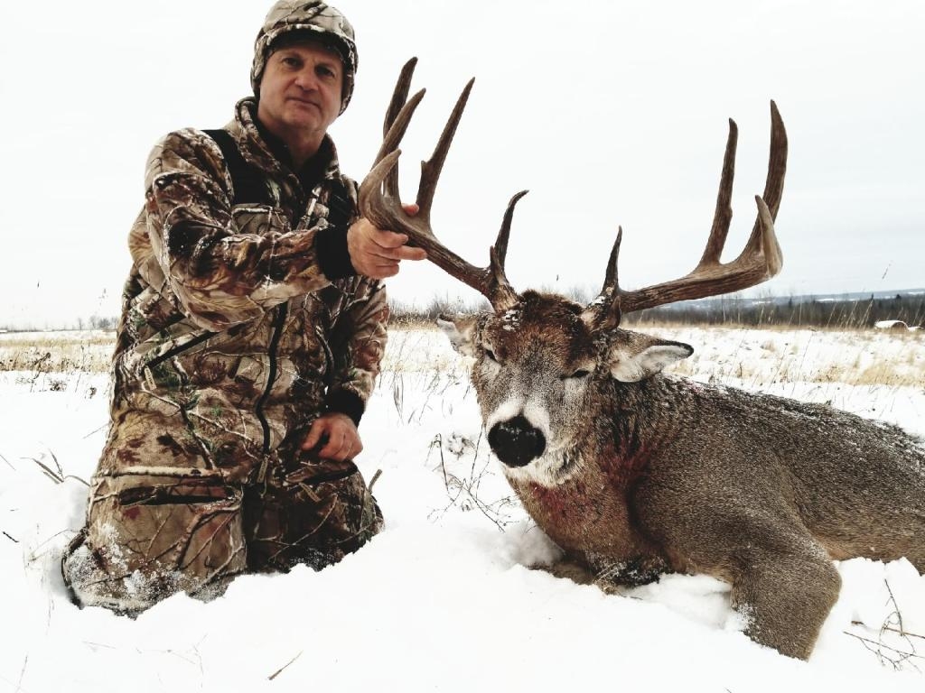 Alberta Whitetail Deer Hunts Timber King Outfitting Alberta Whitetail Deer Hunts Timber King Outfitting