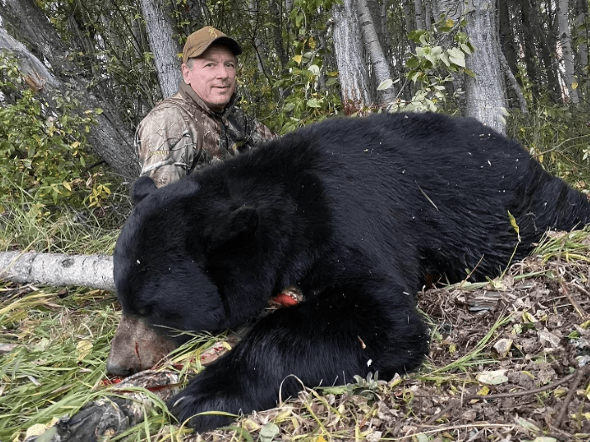 Black Bear Hunt