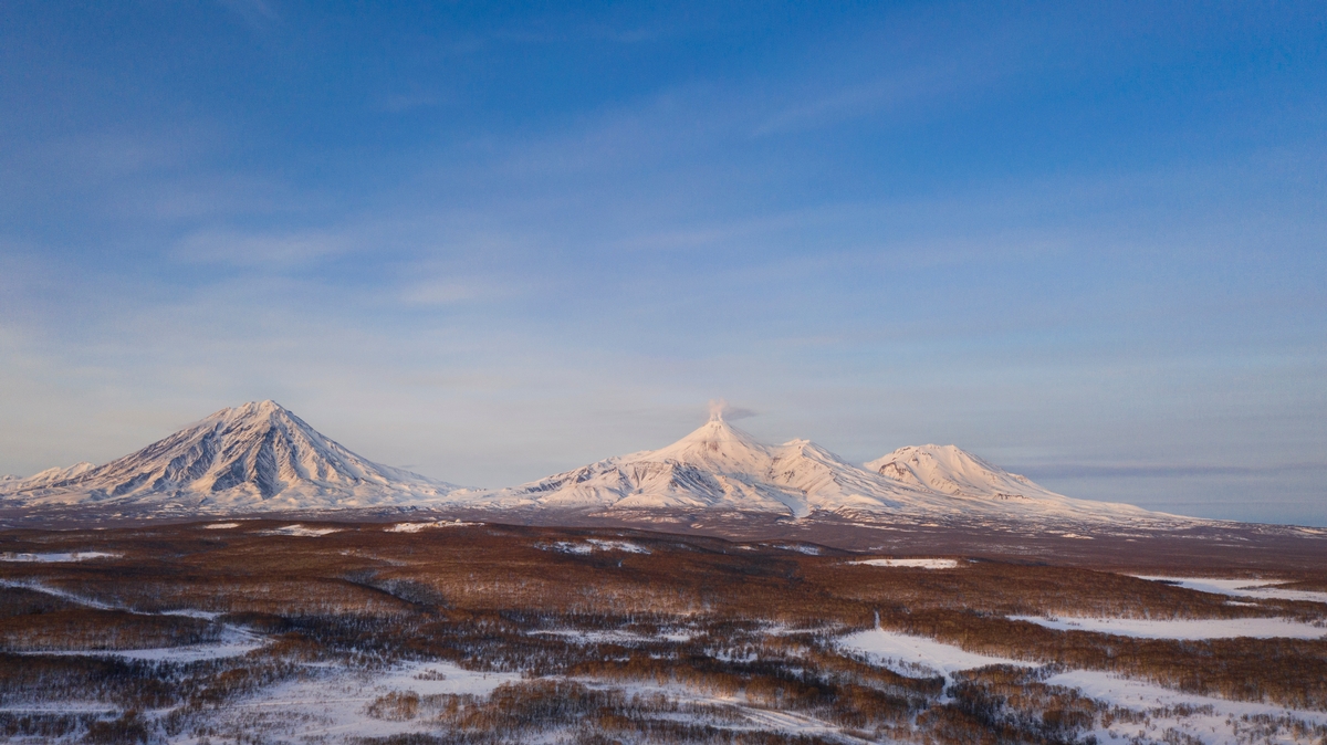 Moose Hunts in Russia