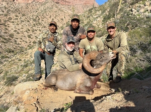 A nice DESERT bighorn taken in Mexico with Timber King Outfitting
