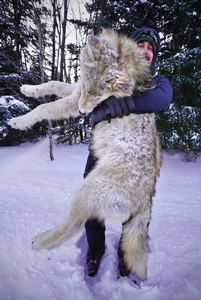 Timber King Outfitting provides another successful Wolf Hunt