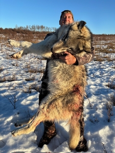 Another happy Hunter with a successful Wolf Hunt in Northern Alberta with Timber King Outfitting
