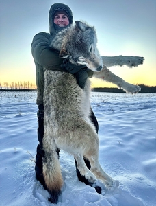 Huge success on a Wolf Hunt with Timber King Outfitting